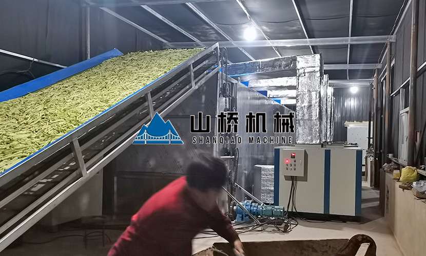 網(wǎng)帶式蘿卜烘干機優(yōu)勢有什么？(圖1)