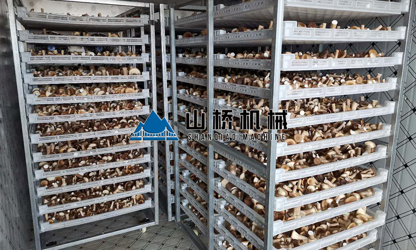 網(wǎng)帶式食用菌烘干機(jī)多少錢一臺(tái)？(圖1)