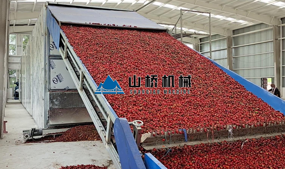 大型網(wǎng)帶式辣椒烘干機(圖1)
