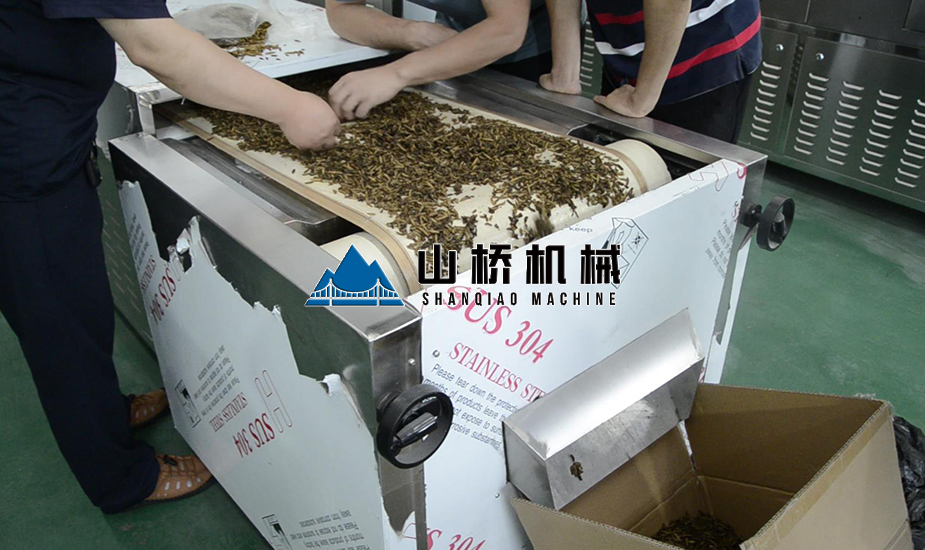 黃粉蟲(chóng)微波殺菌機(jī)(圖1)