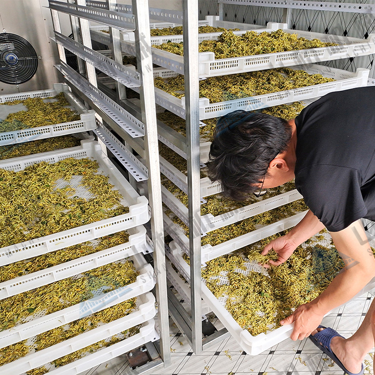 金銀花烘干機(jī)使用經(jīng)驗談(圖1)