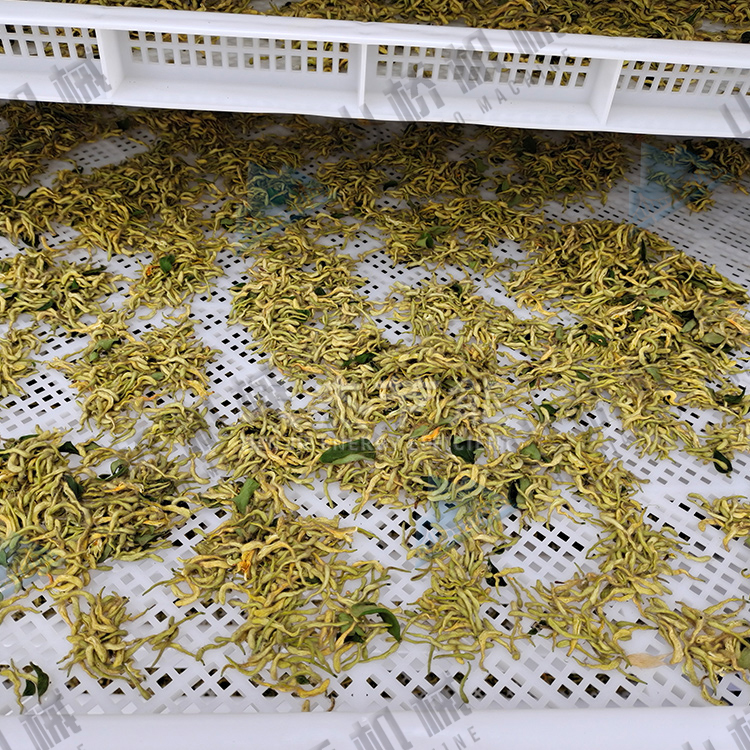 金銀花烘干機(jī)使用經(jīng)驗談(圖2)