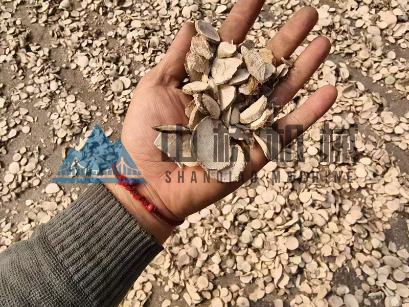什么是中藥材烘干機(jī)，用熱泵烘干中藥材有什么好處！(圖1)