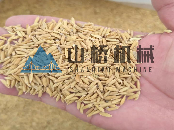 守護糧安：現(xiàn)代化稻谷烘干工藝解析(圖1)